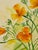 Yellow Daffodils, Original Watercolor, Signed For Sale - Image 4 of 9