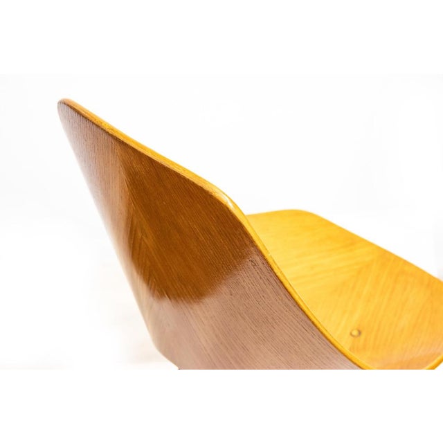 Modern Medea Chairs by Vittorio Nobili, Italy, 1955, Set of 4 For Sale - Image 3 of 6