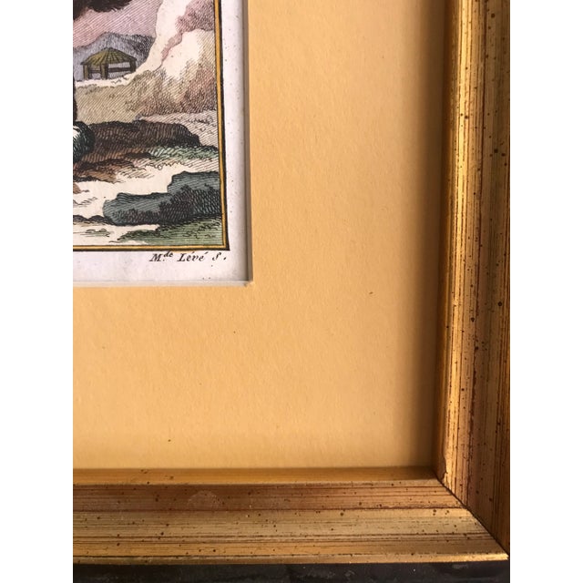 Pair of framed 18th Century French Engravings "Le Petit Maki Gris " and "L'Indri" Original Hand Colored Engravings from...