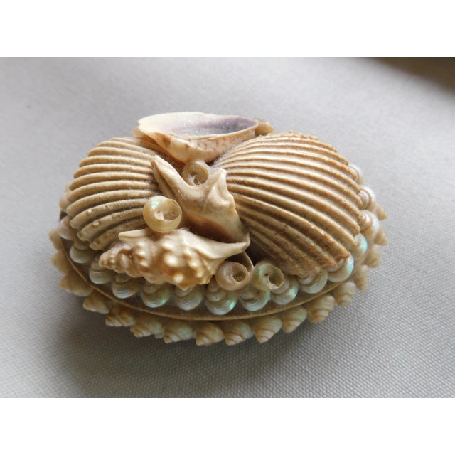 Victorian Antique Victorian Shell Wwi, Navy Sailor Valentine Gift, Oval Boudoir Jewelry Ring Box For Sale - Image 3 of 9