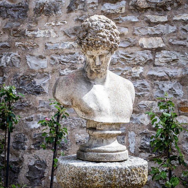 Late 20th Century Bust of the Capitoline Antinous / Hermes in Cast Stone For Sale - Image 6 of 6