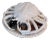 Trompe l'Oeil Italian White Majolica Crab Covered Dish Seashells For Sale