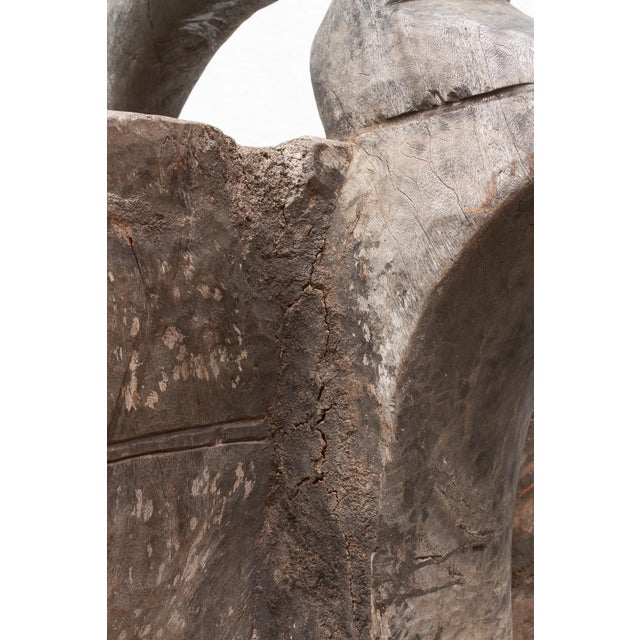 19th Century The Striding Ancestor 82" Large Senufo Hornbill in Oxidized Gray For Sale - Image 5 of 12