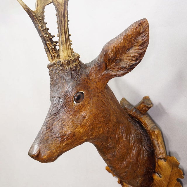 Early 20th Century Large Naturalistic Black Forest Carved Deer Trophy, Ca. 1920s For Sale - Image 5 of 8