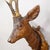 Early 20th Century Large Naturalistic Black Forest Carved Deer Trophy, Ca. 1920s For Sale - Image 5 of 8