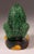 Ceramic 19th Century Chinese Porcelain Famille Verte Glazed Frog Figure For Sale - Image 7 of 11