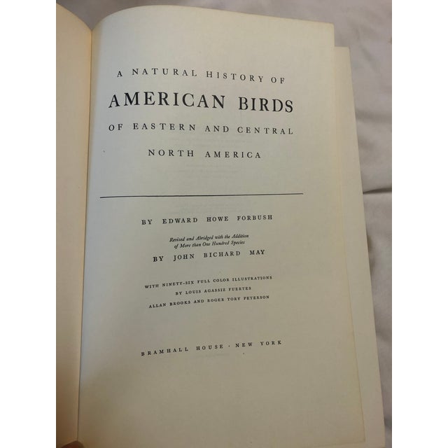 Natural History of American Birds of Eastern & Central America Book For Sale In New York - Image 6 of 11
