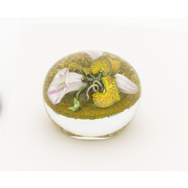 Glass Paul Stankard Botanical Glass Paperweight, 2003 For Sale - Image 7 of 12