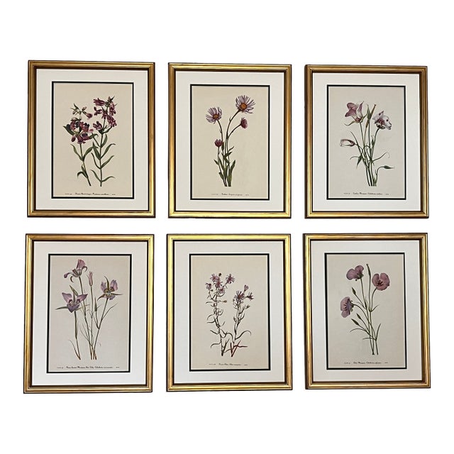 Vintage Botanical Set of 6 -Framed- Authentic Vintage 1953 Prints For Sale