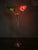 German Adjustable Three-Light Floor Lamp, 1960s For Sale - Image 3 of 16