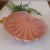 Mid Century Scallop Peach Pottery Sea Shell Bowl Coastal Style For Sale In Fayetteville, AR - Image 6 of 9