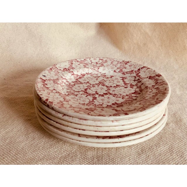 Staffordshire Potteries Antique Staffordshire Child's Tea Set, British Anchor Pottery, Apple Blossom Pattern, Circa 1850 For Sale - Image 4 of 12
