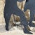 Black 1970s Curtis Jere Mid-Century Modern Iron Music Band Sculpture For Sale - Image 8 of 11