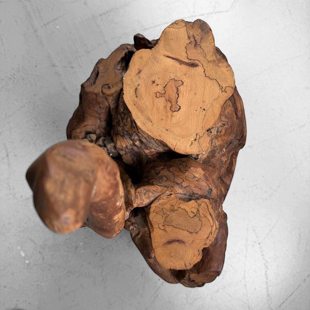 Japanese Koboku Root Wood Sculpture, 1960s For Sale - Image 4 of 16