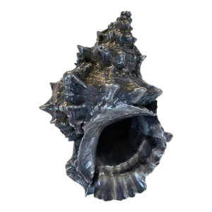 1950s Silver Plated Shell Buccellati Style
