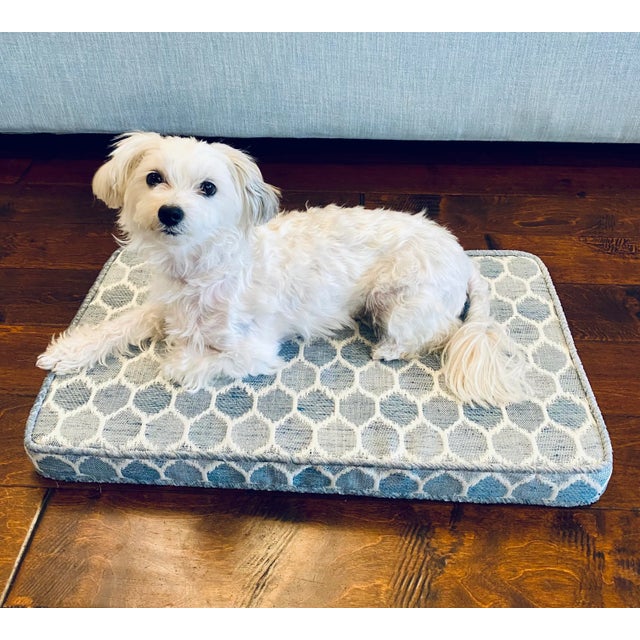 Textile Stout Edgar Glacier Dog Pet Bed / Little Dog For Sale - Image 7 of 8