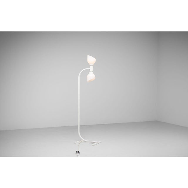 1960s Floor Lamp attributed to Franco Albini and Franca Helg Am/as for Sirrah, 1969 For Sale - Image 5 of 18