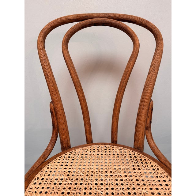 Bentwood Chair Hand Caned With Advanced Weave, Daisy and Button For Sale In Greenville, SC - Image 6 of 13