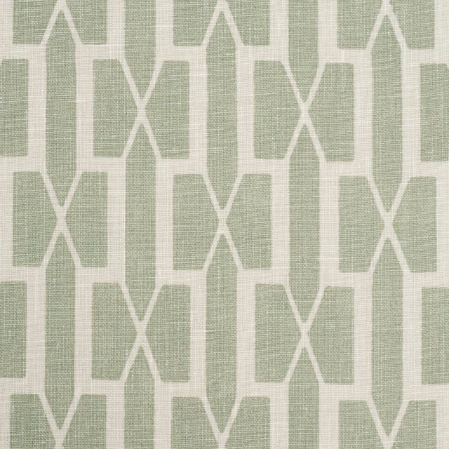 Schumacher Schumacher x Veere Greeney Belvedere Fabric In Celadon For Sale - Image 4 of 5