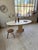 Travertine Dining Table by Afra & Tobia Scarpa, Italy, 1970 For Sale - Image 9 of 18
