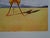 Salvador Dali, Roussillon (SNCF, Suite Papillon), Lithograph For Sale - Image 6 of 7