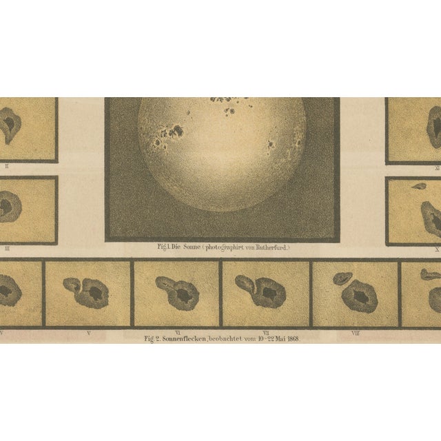 Paper Antique Solar Study Chart, 1890s For Sale - Image 7 of 9