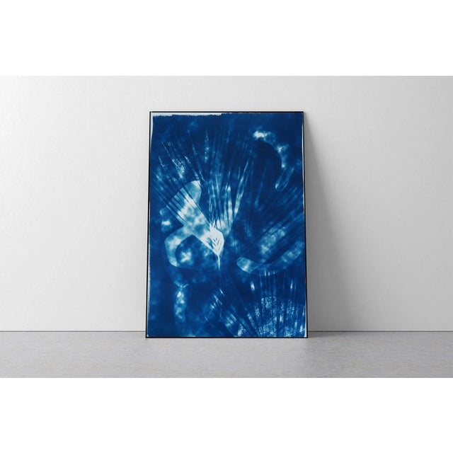 Art Deco Botanical Cyanotype With Abstract Cloudy Shades,Photogram Made on Watercolor Paper, Deep Range of Blues, 50xx70cm For Sale - Image 3 of 10