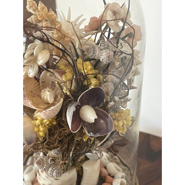 Antique Sea Shell Floral Bouquet Arrangement With Immortella in Dome For Sale - Image 4 of 5