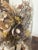 Antique Sea Shell Floral Bouquet Arrangement With Immortella in Dome For Sale - Image 4 of 5