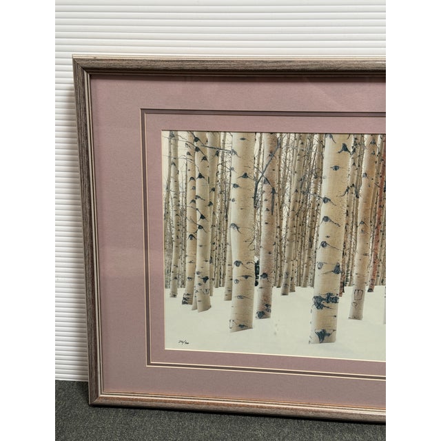 1990s Circa 1997 Aaron Goldenberg Framed "Winter Aspens" Art Photograph, Signed + Limited Edition 266 of 900 For Sale - Image 5 of 12