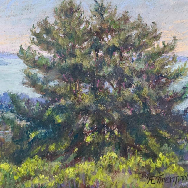 Ann Thiermann Monterey Bay Pastel Landscape Painting 22" Framed For Sale - Image 4 of 10