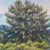 Ann Thiermann Monterey Bay Pastel Landscape Painting 22" Framed For Sale - Image 4 of 10