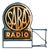 Art Deco Double-Sided Illuminated Radio Dealer Sign for Saba, Germany, 1930s For Sale