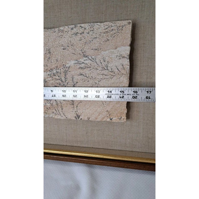 Large 1970s Manganese Oxide Dendrite Slab on Gypsum Matted Framed Rare For Sale - Image 11 of 12