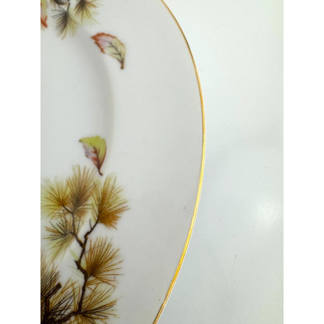 Vintage Mid Century Kyoto China “Pines” Pattern Porcelain Plates – Japan, Set of 21 For Sale - Image 14 of 16