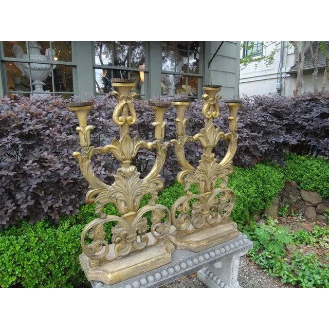 Wood Large Italian Baroque Giltwood Altar Candelabra-Pair For Sale - Image 7 of 11