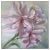 Elena Mardashova, Pink Rhododendron, Oil on Canvas, 2020 For Sale