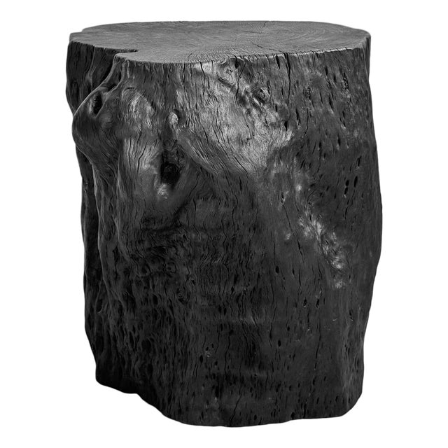 Natural Form Organic Modern Black Stump Side Table / Stool For Sale