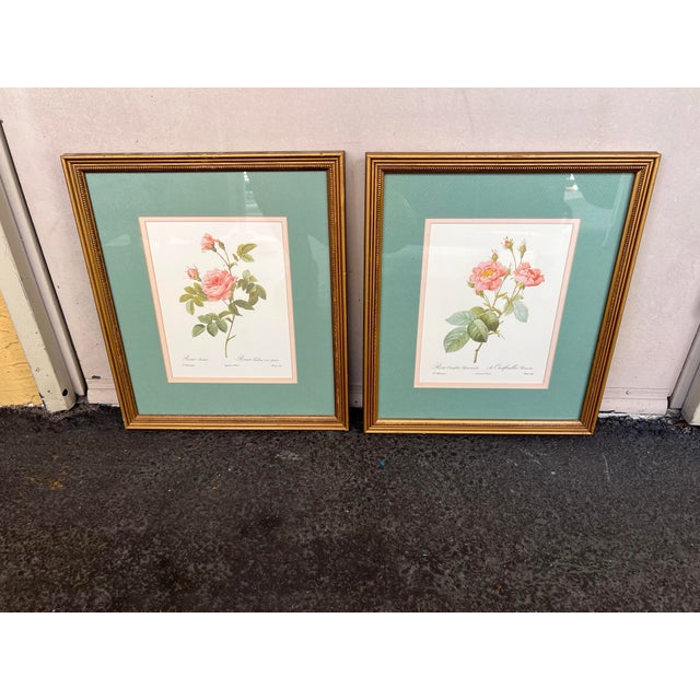 Late 20th Century Pierre-Joesph Redoute’ Rose Botanical Framed Prints- Pair For Sale In West Palm - Image 6 of 7