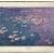 1979 Carnegie Institute "Nympheas" Left Panel Lithograph Poster by Claude Monet, Framed For Sale - Image 4 of 7