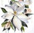 Contemporary "Magnolia No. 70" Contemporary Original Botanical Flower Watercolor Painting by Elizabeth Becker For Sale - Image 3 of 3
