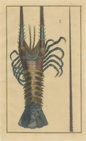 Lobster, 1726, Paper
