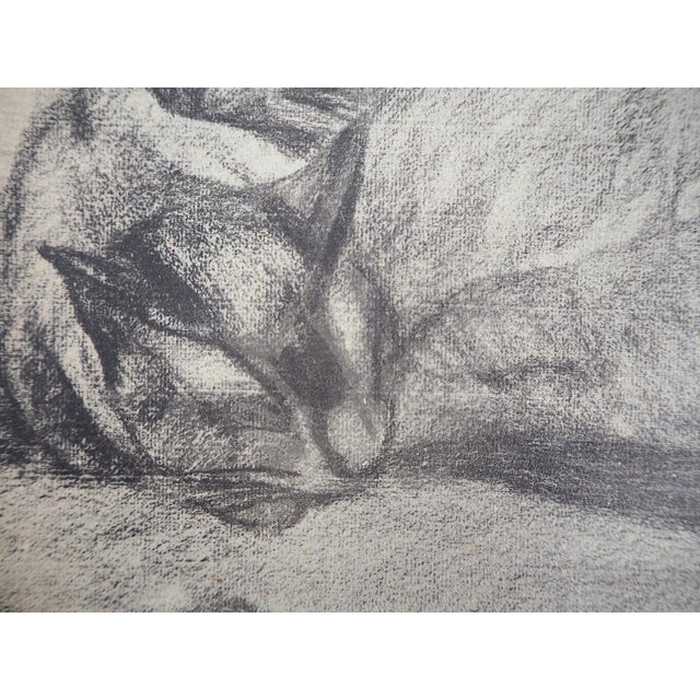 Théophile Alexandre Steinlen, Sleeping Cats, 1933, Lithograph For Sale - Image 4 of 6