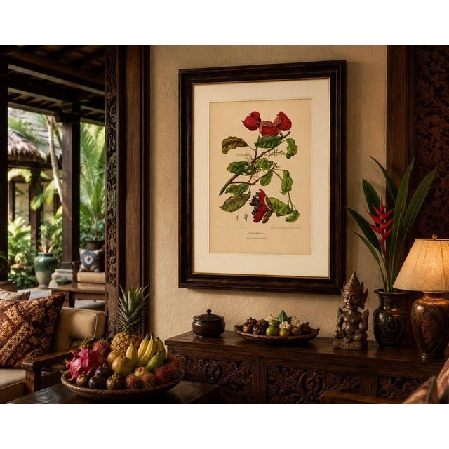 Paper Berthe Hoola van Nooten, Chinese Sterculia, 1880, Chromolithograph For Sale - Image 7 of 9