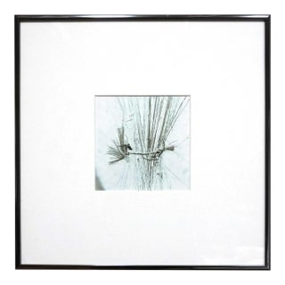 Framed Landscape Photograph "Invalids #1" 1/10 1994 by Jacques Cressaty For Sale