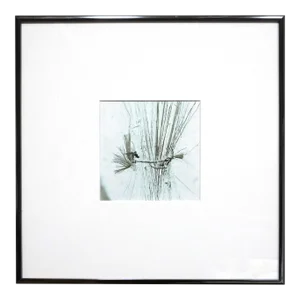 Framed Landscape Photograph "Invalids #1" 1/10 1994 by Jacques Cressaty