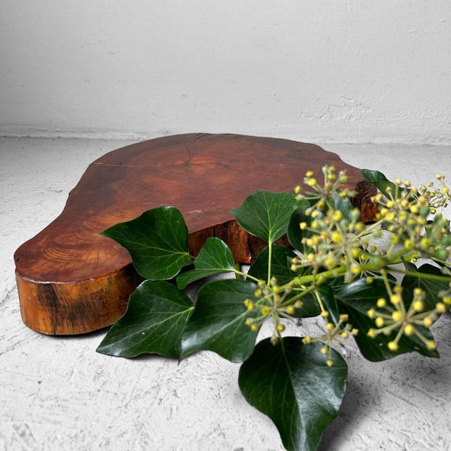 Yakusugi Wood Display, Japan, 1950s For Sale - Image 13 of 14