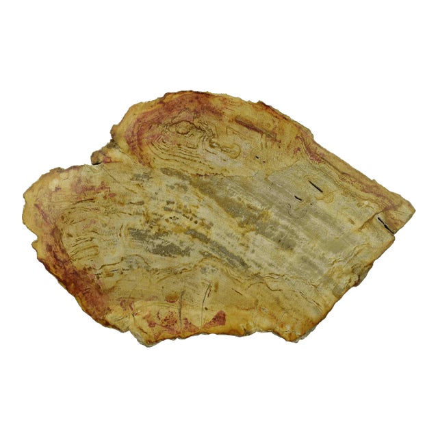 Late 20th Century Solid Stone Serving Cheese Charcuterie Board Platter With Natural Edge For Sale