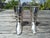 Victorian English Victorian Silverplate Equestrian Pepper Shaker & Mustard Cruet For Sale - Image 3 of 7