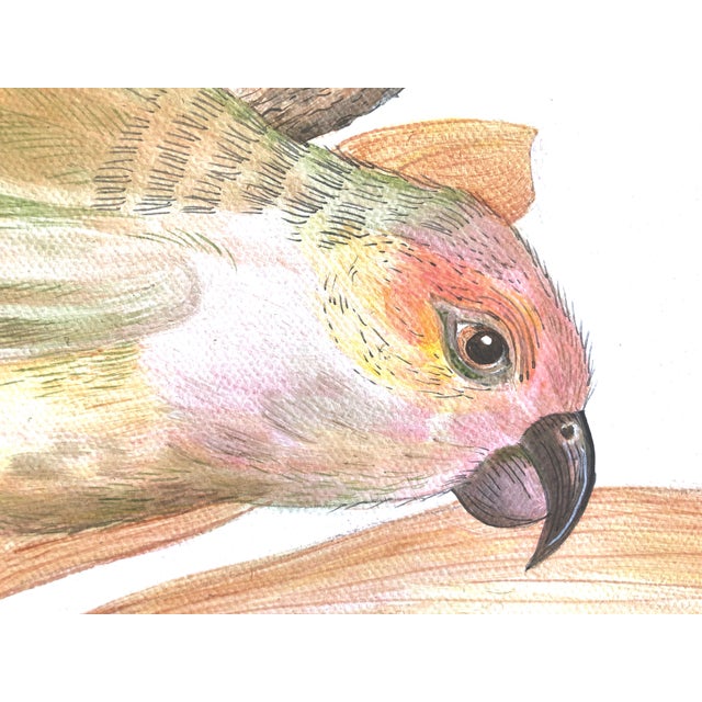 Allison Cosmos "A Little Bird Told Me" Tropical Chinoiserie by Allison Cosmos For Sale - Image 4 of 6